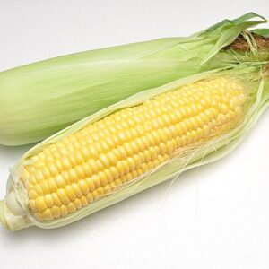 BLAT DE MORO - PANOTXA - Unitat